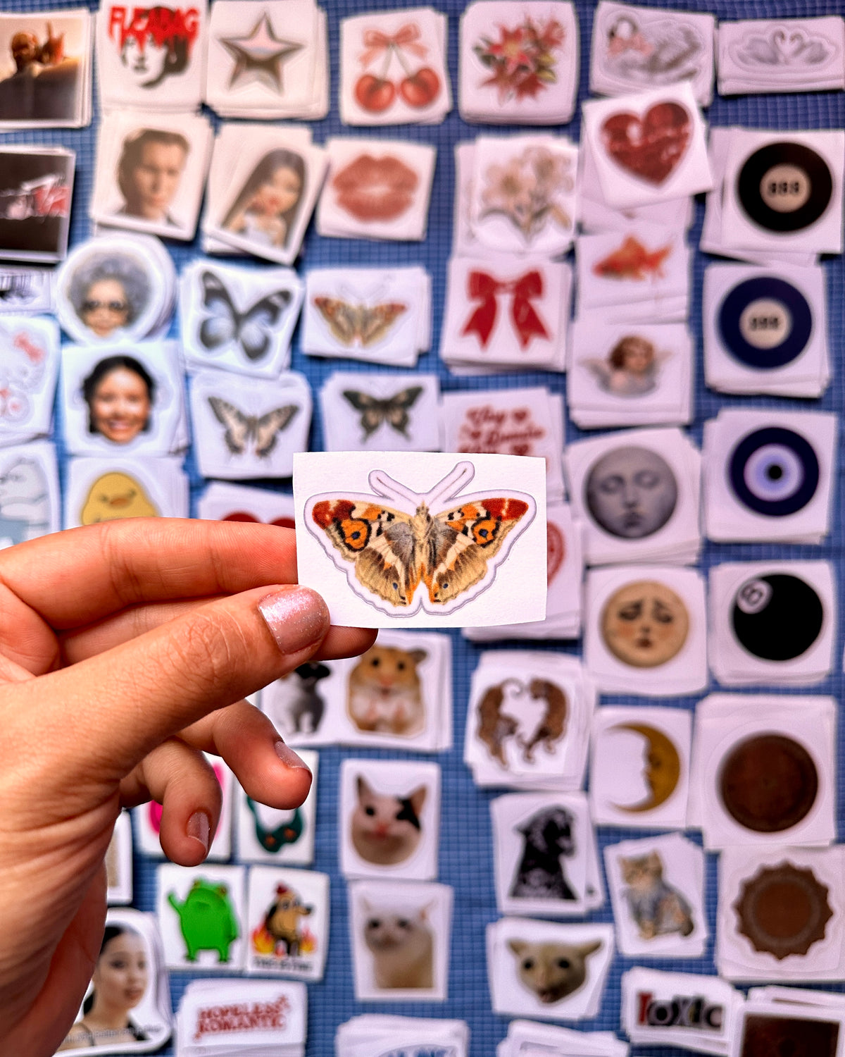 orange butterfly
